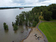 The Columbia River swamps parts of Frenchman's Bar Regional Park on Monday as the river, swollen with snowmelt and last week's heavy rains, reached flood stage in Vancouver.