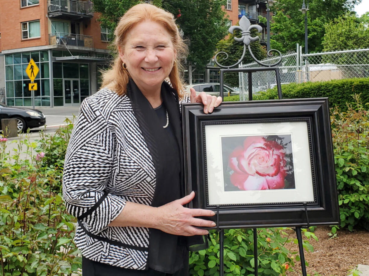 Members of the Fort Vancouver Rose Society honored Vancouver's mayor by planting a cherry parfait rose this spring in the Esther Short Park Rose Garden.