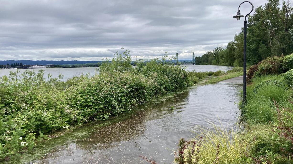 Water from the Columbia River covers a portion of the Waterfront Renaissance Trail near the Columbia Shores Condominiums in Vancouver late Sunday morning. As of noon Sunday, the Columbia was at 15.56 feet, and forecasters predict the river will approach 16 feet until late Wednesday morning. Minor flooding of islands and low-lying areas is expected, as well as flooding of some riverside paths.