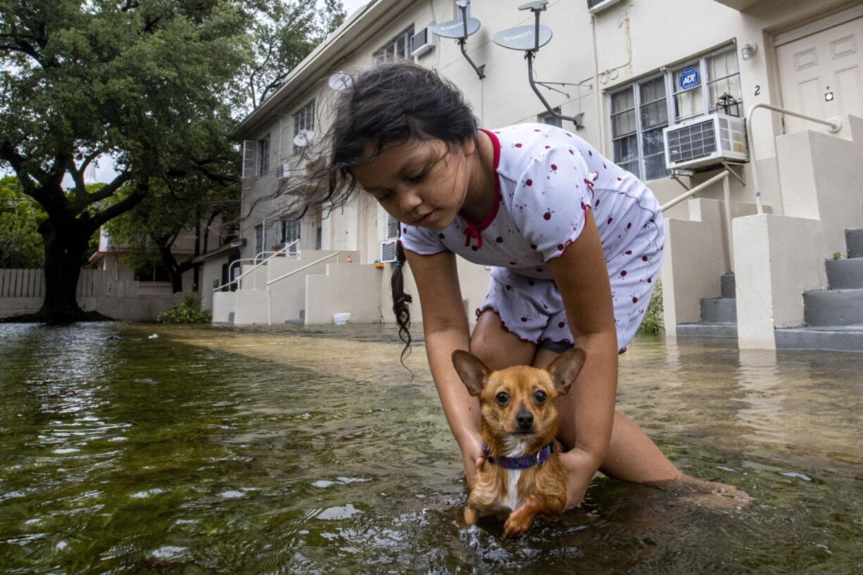 Mileidy Erazo, 6, holds her dog Canelo as he swims in floodwater near her apartment in the Little Havana neighborhood of Miami, Saturday, June 4, 2022. (Daniel A.