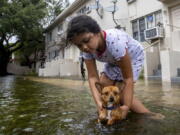 Mileidy Erazo, 6, holds her dog Canelo as he swims in floodwater near her apartment in the Little Havana neighborhood of Miami, Saturday, June 4, 2022. (Daniel A.