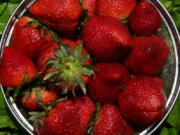 Fresh strawberries, local and otherwise, are in season now, Wednesday, May 11, 2022. (Hillary Levin/St. Louis Post-Dispatch/TNS) (Hillary Levin/St.