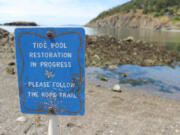 A sign reminds visitors to the Rosario tide pools to tread carefully; the popular pools were once overrun and threatened with ecological collapse.