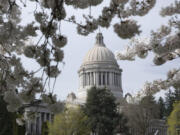 During a day of Seattle Public Schools librarians lobbying and protest in Olympia, April 2, 2019. (Photo by Matt M.