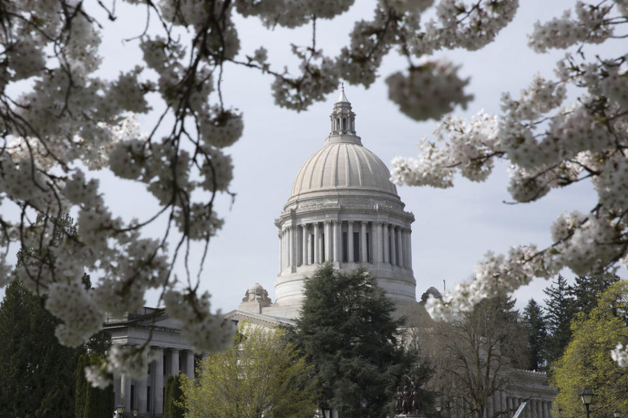 During a day of Seattle Public Schools librarians lobbying and protest in Olympia, April 2, 2019. (Photo by Matt M.