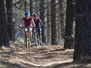 Mountain bikers on the Tyler's Traverse trail southwest of Bend, Oregon.