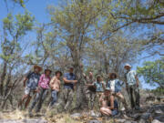 A group of researchers stands beside an oak tree, a specimen of Q. tardifolia, which was thought to be extinct by 2011. They found the rare tree on May 25 during a research trip in Big Bend, Texas. (U.S.