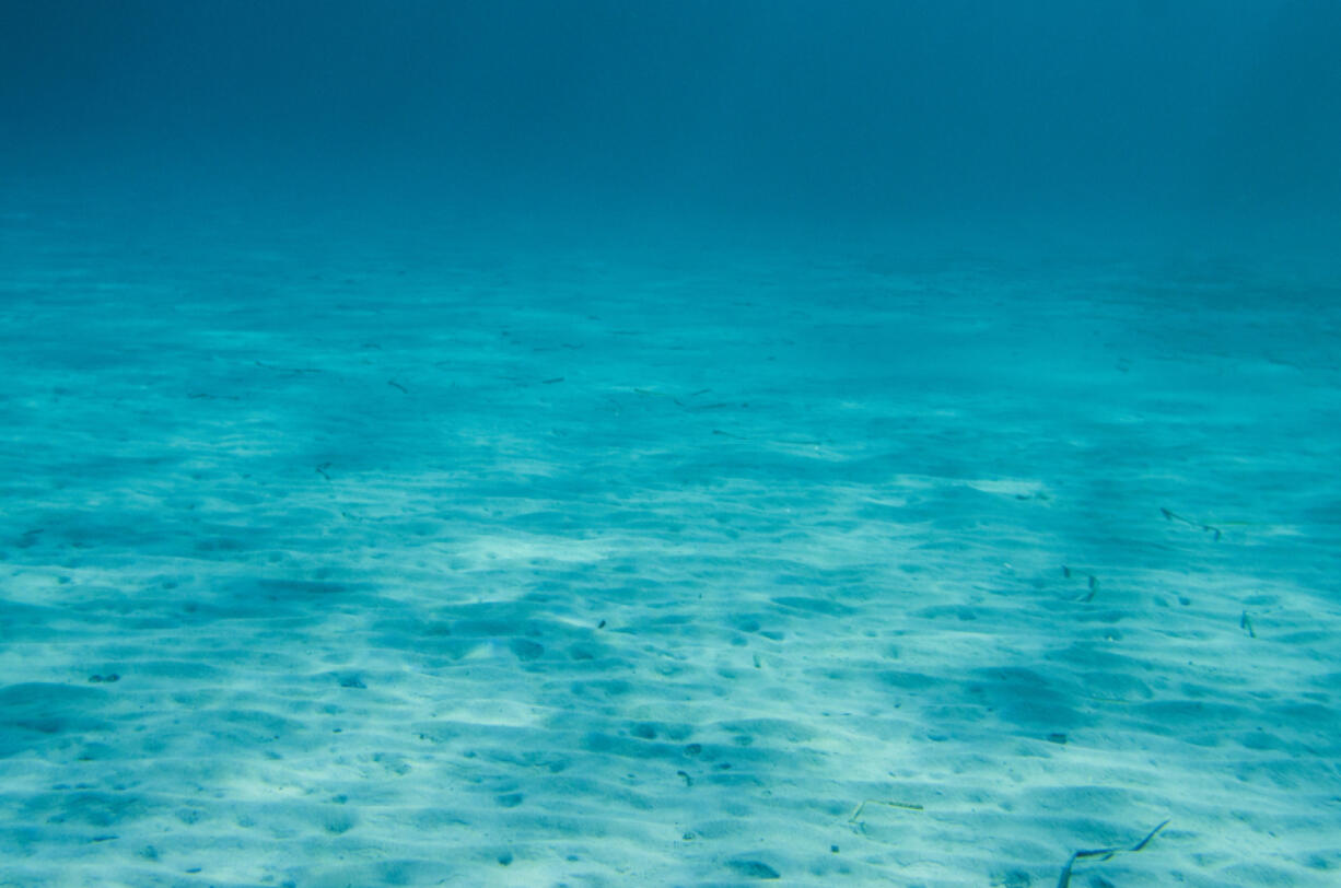 New photos show an organized series of holes interrupting what is otherwise a solid, flat sandy surface on the Atlantic seafloor.