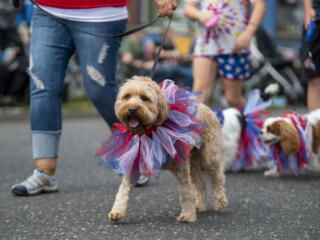 Ridgefield Fourth of July Parade photo gallery