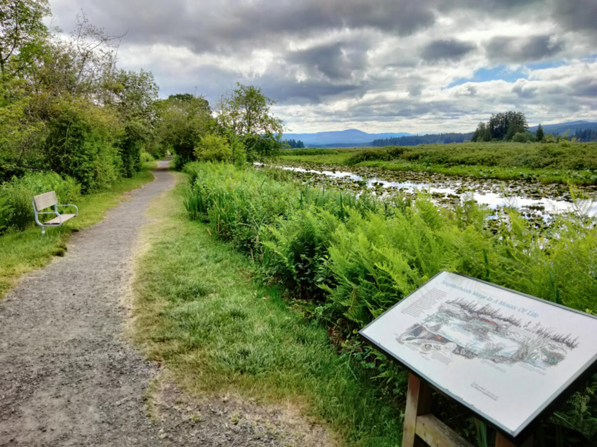 An easy 1-mile loop near the visitor center at Seaquest State Park explores the edge of Silver Lake.