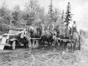 The Clark County Parks Department works its only team of horses during construction of Lewisville Park around 1937. The county's oldest park was funded by the New Deal that put 54,000 people to work in Washington and hundreds in Clark County during the Great Depression.