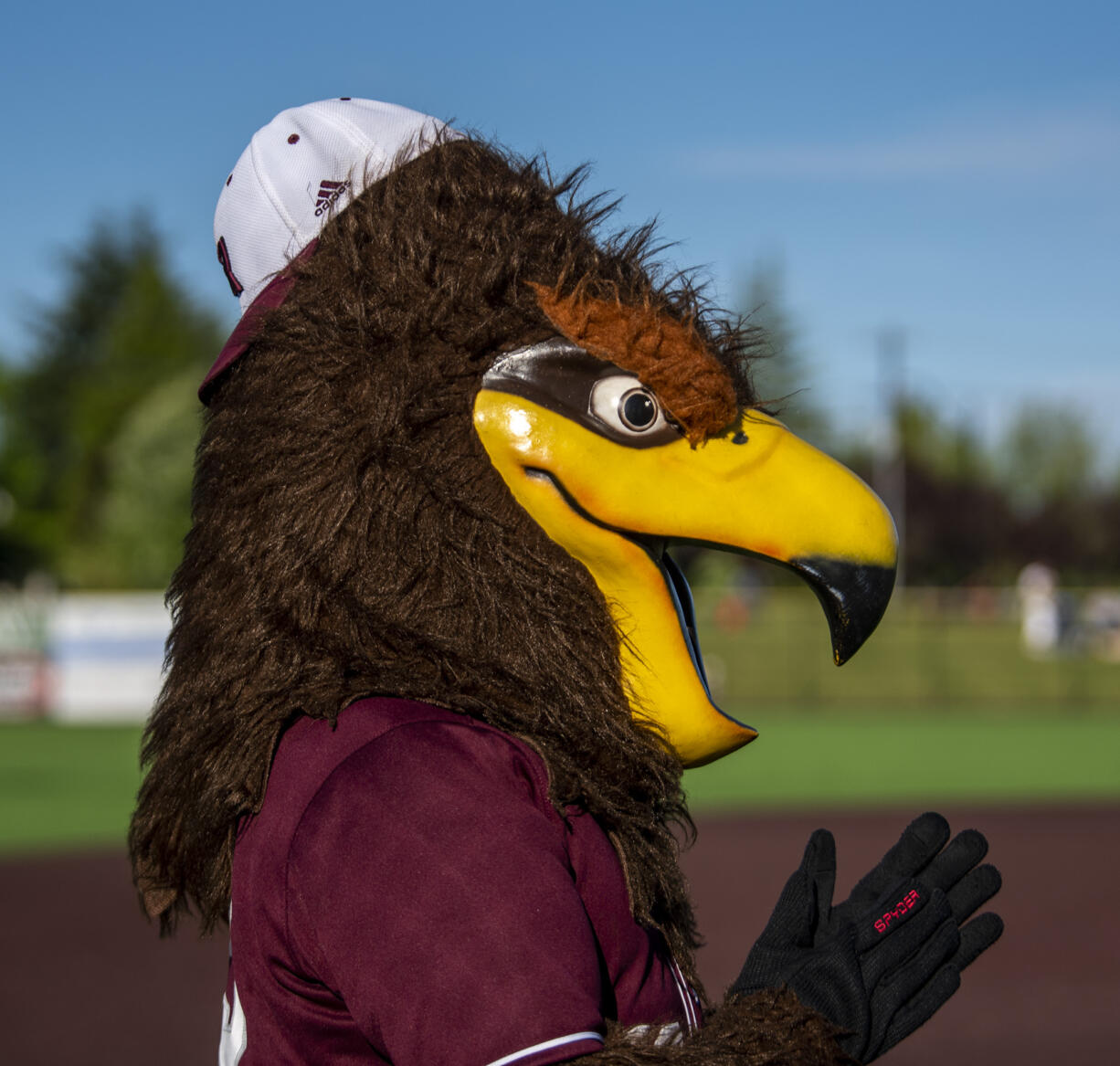 Rally the Raptor wears a backwards hat Tuesday, July 12, 2022, during a game between the Ridgefield Raptors and the Bellingham Bells at the Ridgefield Outdoor Recreation Complex.