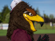 Rally the Raptor wears a backwards hat Tuesday, July 12, 2022, during a game between the Ridgefield Raptors and the Bellingham Bells at the Ridgefield Outdoor Recreation Complex.