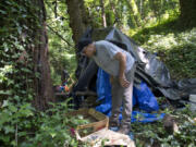 Peter Bracchi, who has advocated for a camping ban for years, walks through an abandoned homeless encampment in Vancouver's Arnold Park. The Vancouver City Council approved amendments Monday to its camping ordinance.