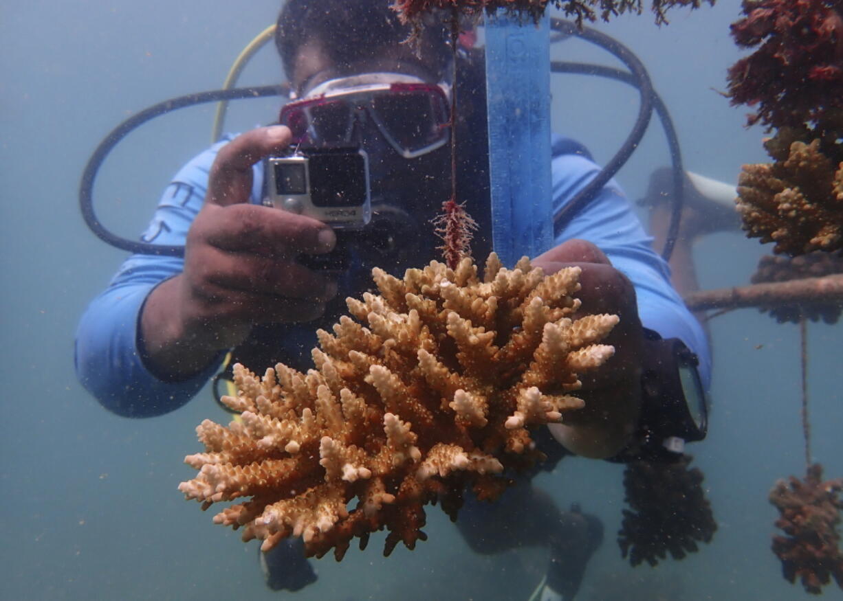 Coral reef restoration ranger Yatin Patel measures an artificial reef structure in the Indian Ocean near Shimoni, Kenya, on June 13.