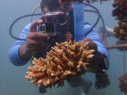 Coral reef restoration ranger Yatin Patel measures an artificial reef structure in the Indian Ocean near Shimoni, Kenya, on June 13.