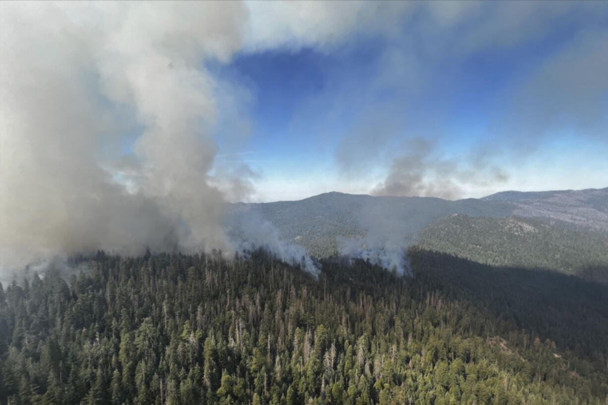 In this image released by the National Park Service, smoke rises from the Washburn Fire near the lower portion of the Mariposa Grove in Yosemite National Park, Calif., Friday, July 8, 2022. Part of Yosemite National Park has been closed as a wildfire quintupled in size near a grove of California's famous giant sequoia trees, officials said.