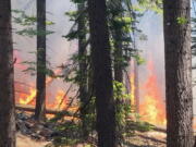 In this photo released by the National Park Service, the Washburn Fire burns near the lower portion of the Mariposa Grove in Yosemite National Park, Calif., Thursday, July 7, 2022.