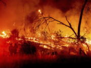 Firefighters battle the Electra Fire in the Rich Gulch community of Calaveras County, Calif., on Monday, July 4, 2022. According to Amador County Sheriff Gary Redman, approximately 100 people sheltered at a Pacific Gas & Electric facility before being evacuated in the evening.