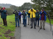 Volunteers search for birds along the trial at the Lafayette Reservoir in Lafayette, California, on Sunday, Dec. 19, 2021. Volunteers spent 9 hours walking along the trails of the Lafayette Reservoir counting birds for the 122nd Audubon Christmas Bird Count. The bird count occurs from Dec. 14 through Jan. 5, 2022.