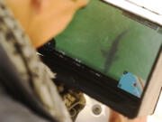 Drone photographer Carlos Gauna views a great white shark on his monitor as he captures a video of great white sharks along the Santa Barbara County coast of California on April 22, 2021.