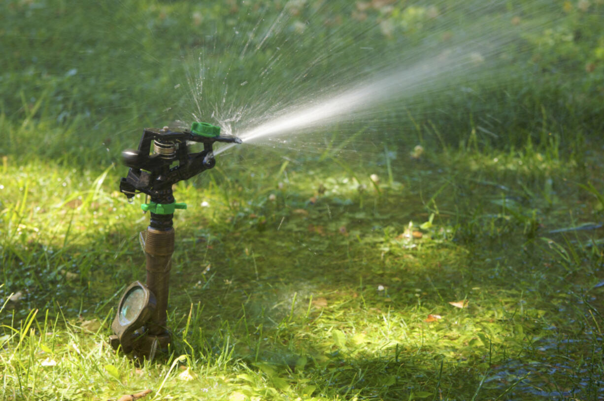 Installing a new sprinkler system is a great late-summer project.