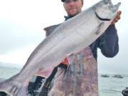 A fine Buoy 10 Chinook salmon caught while fishing with guide Cameron Black. Black reports that before it was closed this past Wednesday, the Chinook bite had been fantastic. Black has been trolling spinners with 360 flashers.