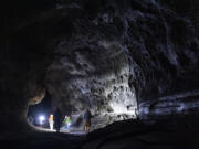 Occasionally it seems as tight as a subway tunnel. Other times it feels as vast as a cathedral. Visitor headlamps and flashlights illuminate the walls of Ape Cave in the Gifford Pinchot National Forest.