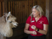 Shannon Joy, co-owner of Mtn Peaks Therapy Llamas & Alpacas, bonds with a four-legged friend on Monday afternoon. The farm trains camelids for therapy and educational purposes.