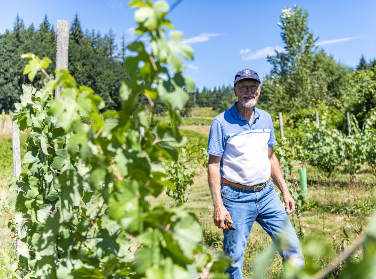 Rezabek Vineyards and Winery co-owner Roger Rezabek is the chair of a task force asking the federal government to recognize a Mount St. Helens American Viticultural Area.