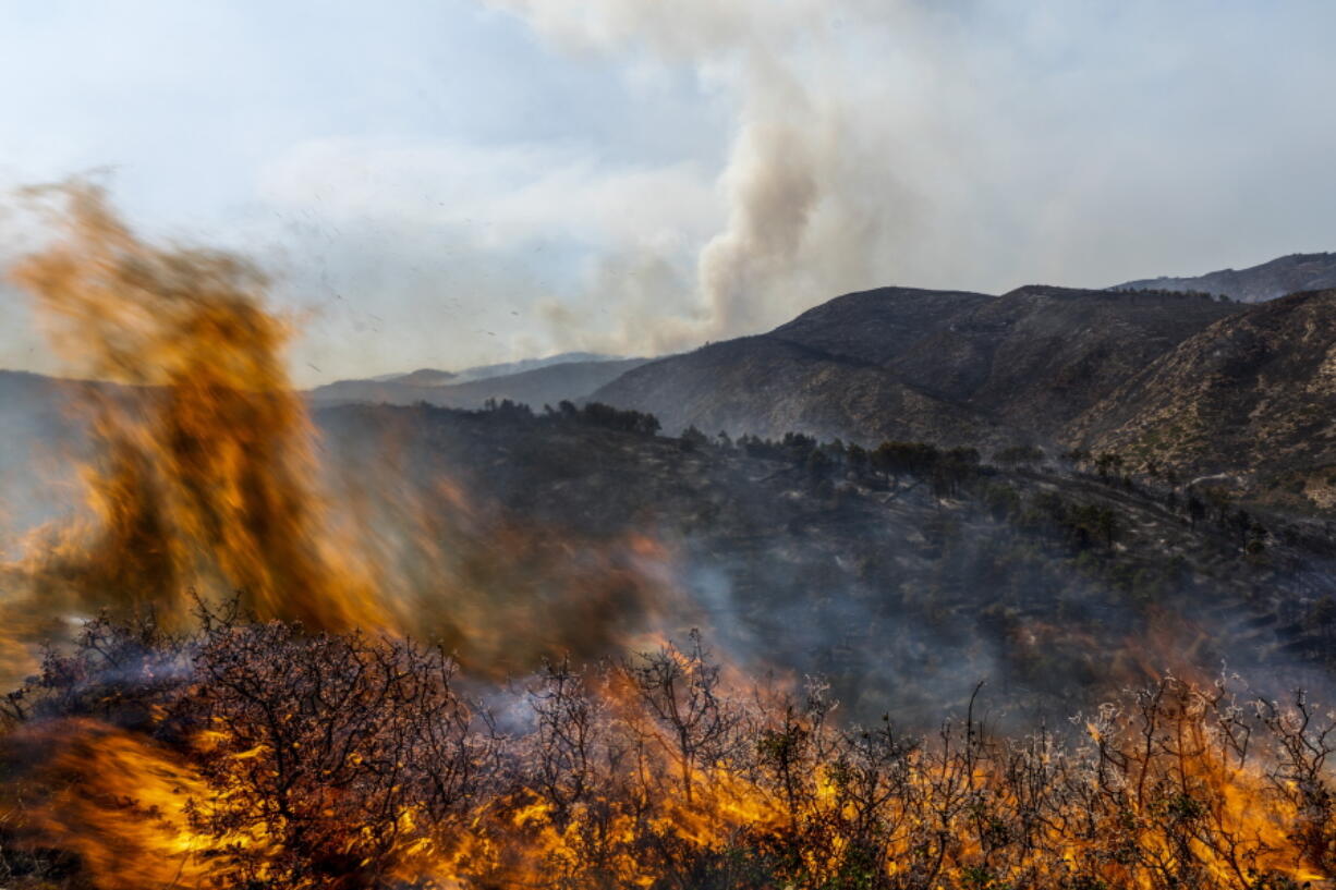 A forest burns during a wildfire near Altura, eastern Spain, on Friday, Aug. 19, 2022. Up to early August, 43 large wildfires -- those affecting at least 500 hectares (1,235 acres) -- were recorded in the Mediterranean country by the Ministry for Ecological transition, while the average in previous years was 11. The European Forest Fire Information System estimates a burned surface of 284,764 hectares (704,000 acres) in Spain this year. That's four times higher than the average since records began in 2006.