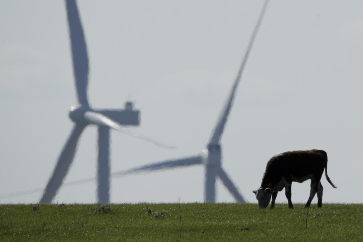 FILE - A cow grazes in a pasture as wind turbines rise in the distance, April 27, 2020, near Reading, Kan. The climate deal reached by Senate Democrats could reduce the amount of greenhouse gases that American farmers produce by expanding programs that help sequester carbon in soil, fund climate-focused research and lower the abundant methane emissions that come from cows.