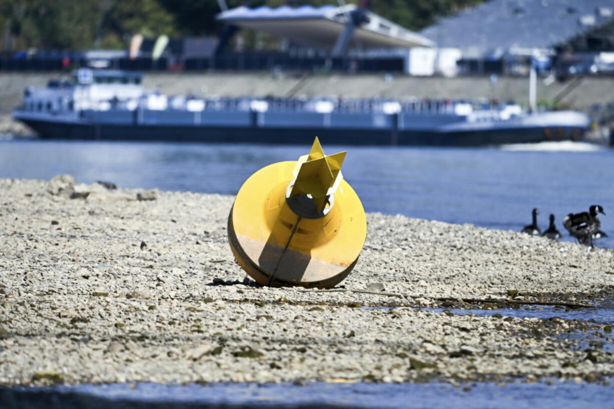 A cargo ship passes a danger buoy lying on dry land in Dusseldorf, North Rhine-Westphalia, Germany. After weeks of drought, the water levels of the Rhine have reached historic lows.