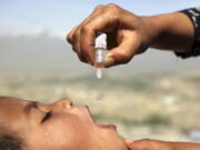 FILE - An Afghan health worker uses an oral polio vaccine on a child as part of a campaign to eliminate polio, on the outskirts of Kabul, Afghanistan, April 18, 2017. For years, global health officials have used billions of drops of an oral vaccine in a remarkably effective campaign aimed at wiping out polio in its last remaining strongholds -- typically, poor, politically unstable corners of the world. Now, in a surprising twist in the decades-long effort to eradicate the virus, authorities in Jerusalem, New York and London have discovered evidence that polio is spreading there. The source of the virus? The oral vaccine itself.