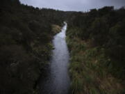 The upper reaches of New Zealand's Whanganui River flow on June 16, 2022. In 2017, New Zealand passed a groundbreaking law granting personhood status to the Whanganui River. The law declares that the river is a living whole, from the mountains to the sea, incorporating all its physical and metaphysical elements.