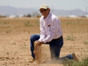 Kelly Anderson shows how dry one of his fields is, Thursday, Aug. 18, 2022, in Maricopa, Ariz. Anderson grows specialty crops for the flower industry and leases land to alfalfa farmers whose crops feed cattle at nearby dairy farms. He knows what's at stake as states dither over cuts and expects about half of the area will go unplanted next year, after farmers in the region lose all access to the river.