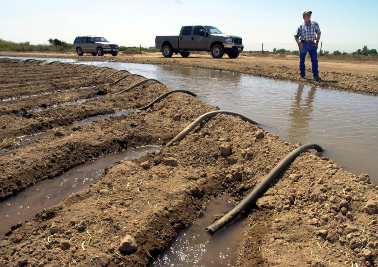 FILE - Farmer John Hawk looks over his land as his seed onion fields are watered in Holtville, Calif., Sept. 3, 2002. For the seven states that rely on the Colorado River that carries snowmelt from the Rocky Mountains to the Gulf of California, that means a future with increasingly less water for farms and cities although climate scientists say it's hard to predict how much less. The U.S. Bureau of Reclamation is expected to publish hydrology projections on Tuesday, Aug. 16, 2022, that will trigger agreed-upon cuts to states that rely on the river.