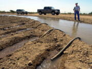 FILE - Farmer John Hawk looks over his land as his seed onion fields are watered in Holtville, Calif., Sept. 3, 2002. For the seven states that rely on the Colorado River that carries snowmelt from the Rocky Mountains to the Gulf of California, that means a future with increasingly less water for farms and cities although climate scientists say it's hard to predict how much less. The U.S. Bureau of Reclamation is expected to publish hydrology projections on Tuesday, Aug. 16, 2022, that will trigger agreed-upon cuts to states that rely on the river.