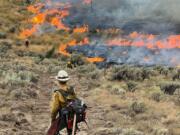 DNR Hand Crew 411 conducts a burnout operation on Division Kilo near the Vantage Fire's origin area on Monday. (Photo by Bryan Lyle/Courtesy of Kittitas County Sheriff's Office.