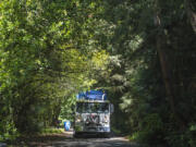 Gabe Durate, a residential garbage truck driver with Waste Connections, collects garbage in an east Vancouver neighborhood in 2019.