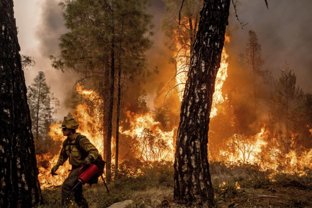 Firefighter Davis Sommer lights a backfire to burn off vegetation while battling the Mosquito Fire in the Volcanoville community of El Dorado County, Calif., Friday, Sept. 9, 2022. He is part of Alaska's Pioneer Peak Interagency Hotshot crew.