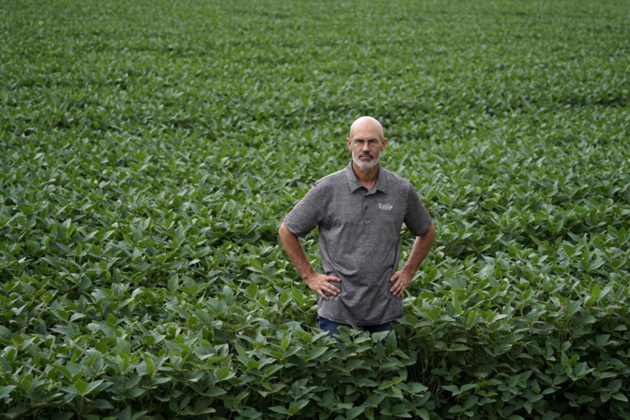 Jeff O'Connor stands in a field at his farm Aug. 4 in Kankakee, Ill. He has double-cropped his fields for years. Usually this means planting winter wheat in the fall, harvesting in May or June, and then planting soybeans. (Photos by nam y.