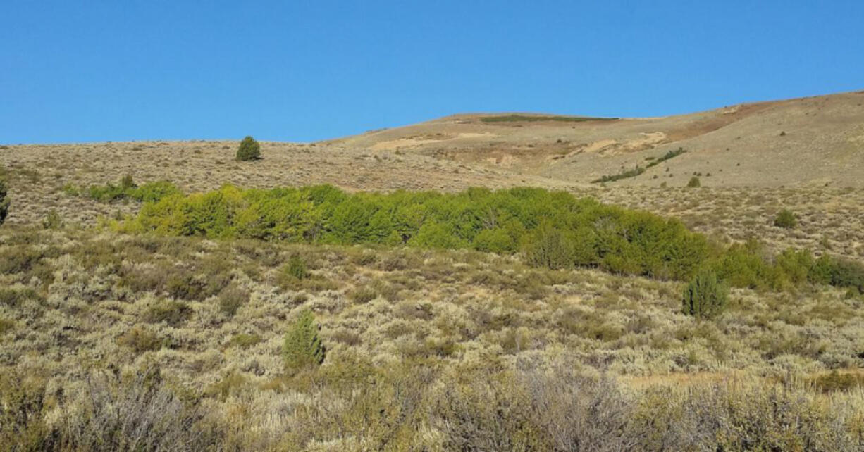 Clear improvement: A newly fence-free section of Hart Mountain.