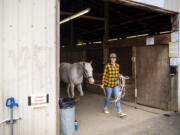 Koreen Concannon of Camas walks 7-year-old horse Leah out of the stables on Monday at the fairgrounds. Evacuees like Concannon were able to bring horses to the Fairgrounds stables.