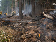 A small flame burns in the Camas Creek watershed while firefighters tackle the Nakia Fire in October 2022.