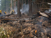 A small flame burns in the Camas Creek Watershed while firefighters tackle the Nakia Fire on Wednesday afternoon, Oct. 19, 2022.