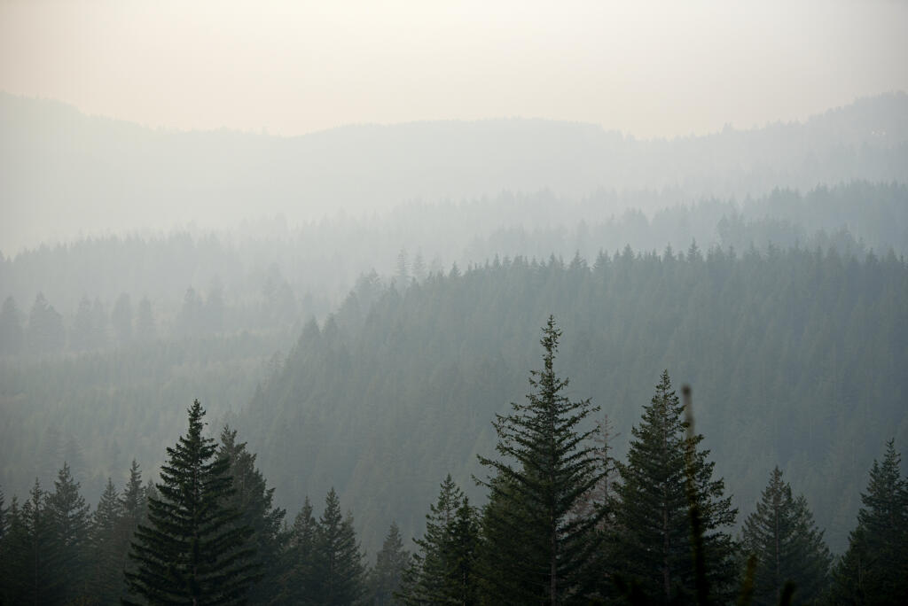 Thick smoke from the Nakia Fire clogs the air, as seen from the Camas Creek Watershed on Wednesday afternoon, Oct. 19, 2022.