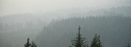 Thick smoke from the Nakia Fire clogs the air, as seen from the Camas Creek Watershed on Wednesday afternoon, Oct. 19, 2022.
