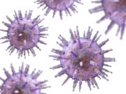 Epstein-Barr virus.