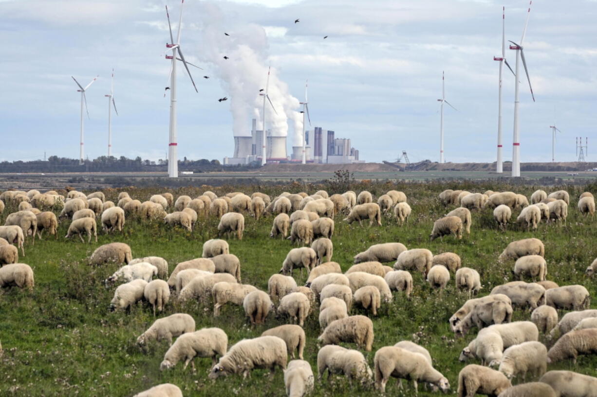 FILE - A flock of sheep graze in front of a coal-fired power plant at the Garzweiler open-cast coal mine near Luetzerath, western Germany, Oct. 16, 2022. The International Energy Agency said Wednesday, Oct. 19, that it expects carbon emissions from the burning of fossil fuels to rise again this year, but by much less than in 2021 due to the growth in renewable power and electric cars.